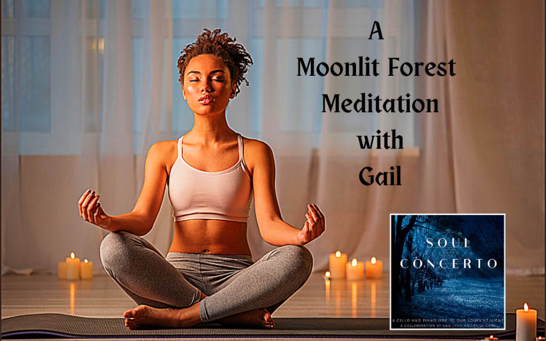 A Moonlit Forest Meditation – with Gail!