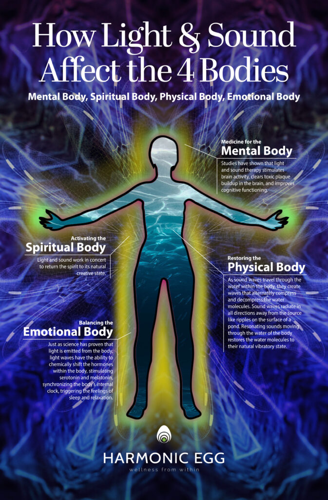 12.5" x 19" Harmonic Egg, LLC Educational Reference Charts - Harmonic Egg