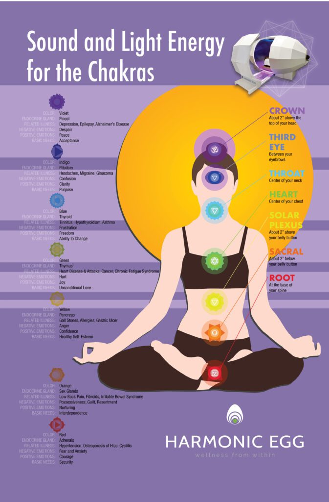 12.5" x 19" Harmonic Egg, LLC Educational Reference Charts - Harmonic Egg