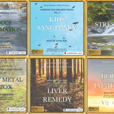 Harmonic Egg® Wellness Tracks - Six Click & Play Digital Music Files with Song Notes. Treat yourself to this therapeutic music collection and save $20.94!