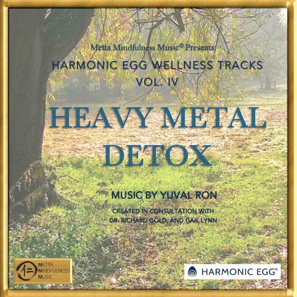 Heavy Metal Detox (Harmonic Egg® Wellness Tracks) - .WAV Music File and Printable Song Notes