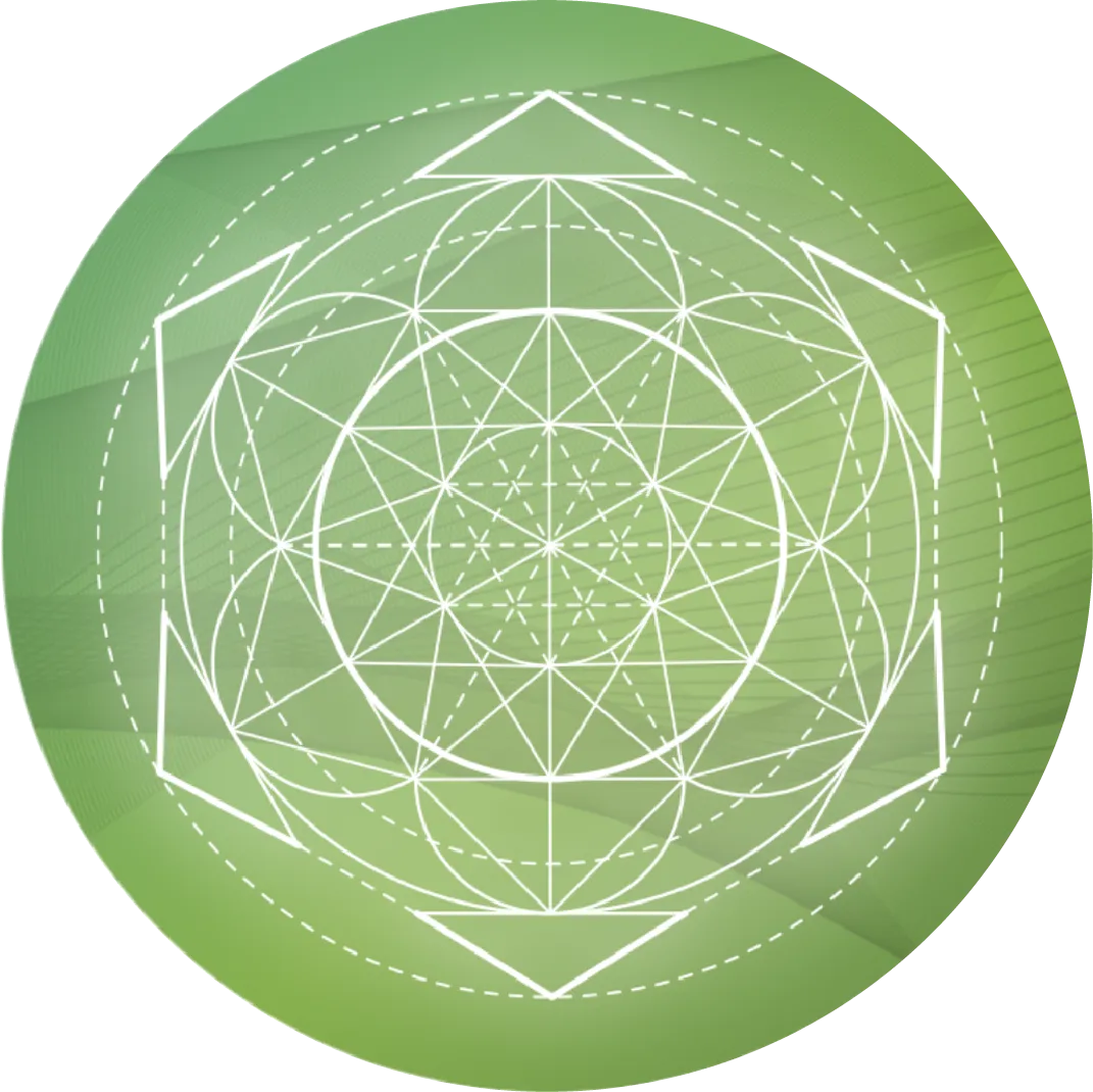 Screenshot+2025-03-02+at+2.24.24-PM-1920w